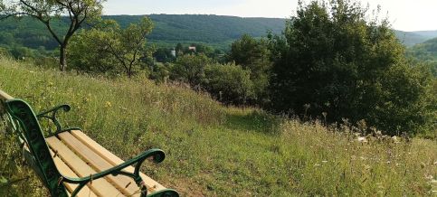 Erdőszéli Vendégház – Alsópetény fotó 13