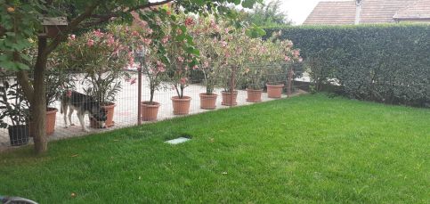 Varga Apartman4