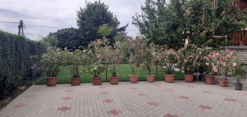 Varga Apartman3