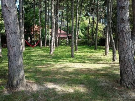 Ősfás Apartman3
