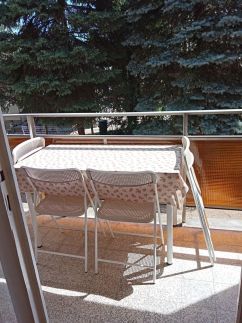 Ősfás Apartman