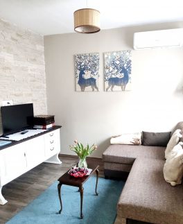 Borostyánkút Wellness Home Vendégház46