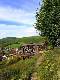 Borostyánkút Wellness Home Vendégház63