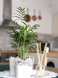 Cseri Porta Kisház26