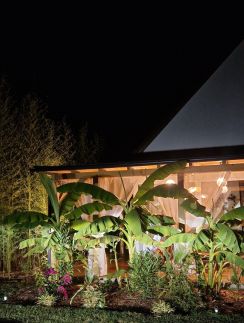 Bambusz Apartmanház23