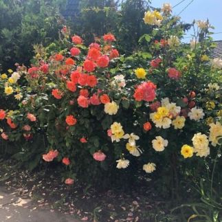 Ádám és Anett Vendégház10