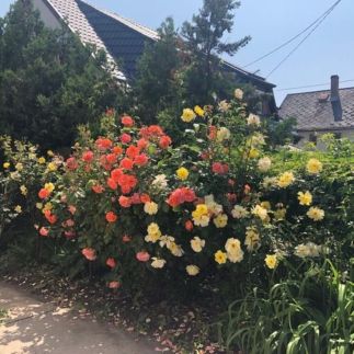 Ádám és Anett Vendégház12