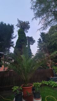 Ágnes Apartman18