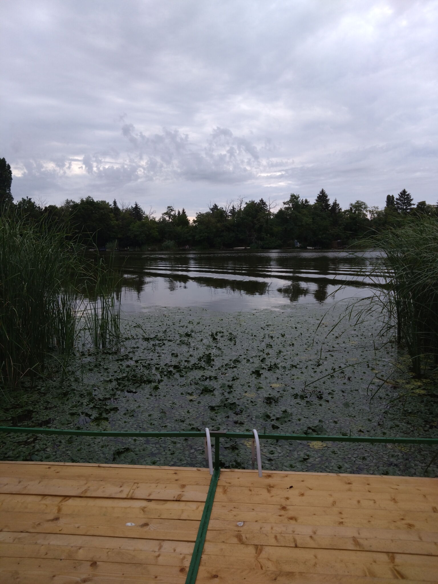 Tókert Apartman – Ráckeve fotó 4