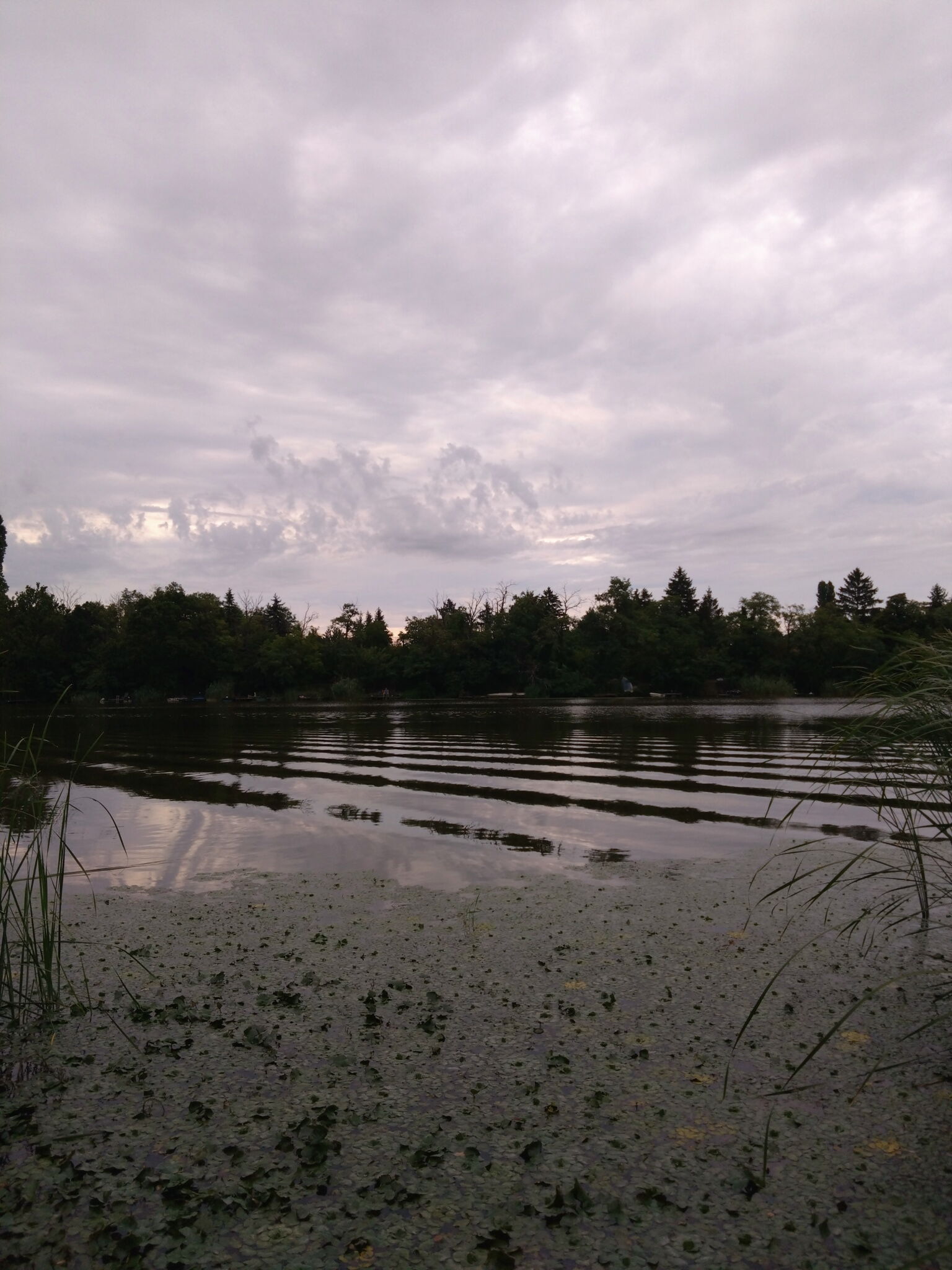 Tókert Apartman – Ráckeve fotó 8