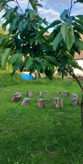 Szőlősor Vendégház28