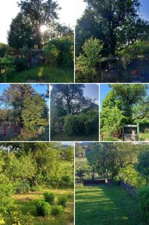 Szőlősor Vendégház27