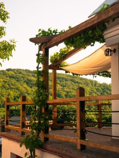 Borveranda Panzió – Palkonya fotó 9