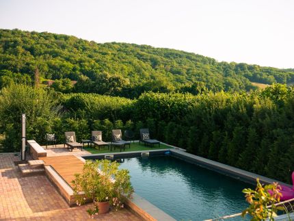 Borveranda Panzió – Palkonya fotó 3