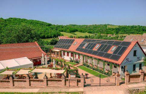 Borveranda Panzió – Palkonya fotó 7