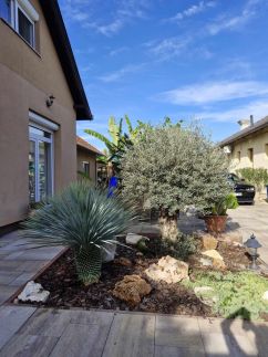 Dr Becsey Luxury Apartman34