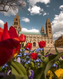 Gábor Apartman Pécs35