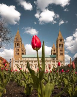 Gábor Apartman Pécs38