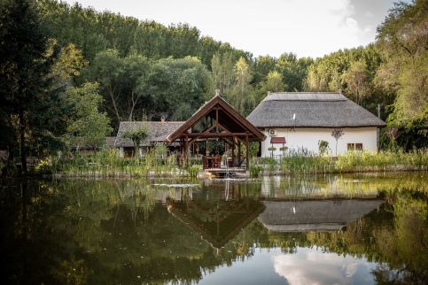 Zarah Tanya Vendégház Cserkeszőlő8