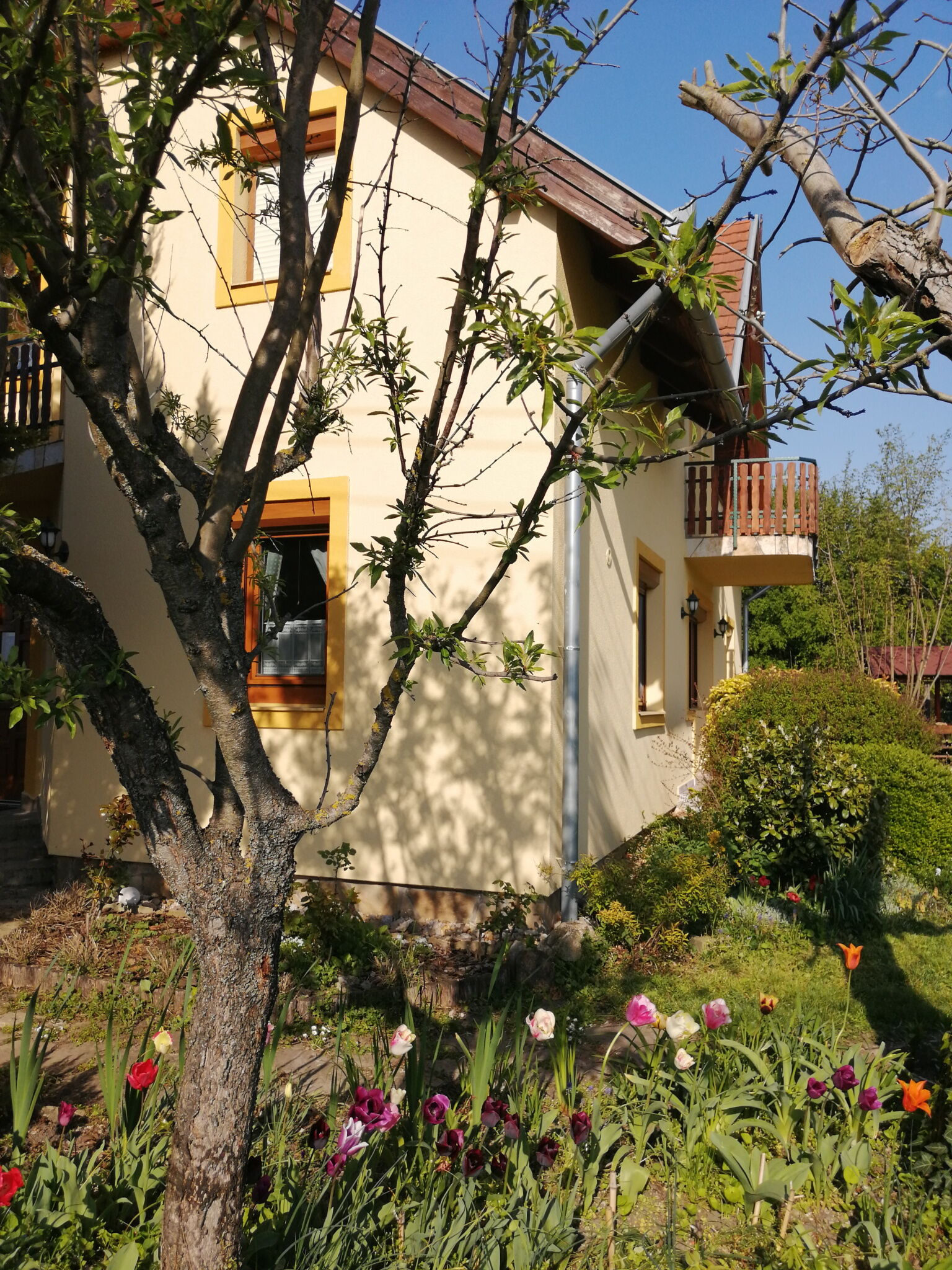 Napraforgó Apartman – Gyenesdiás fotó 3