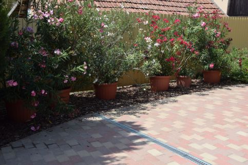Hajnalsugár Apartman1
