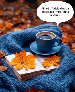 Amerika Vendégház13