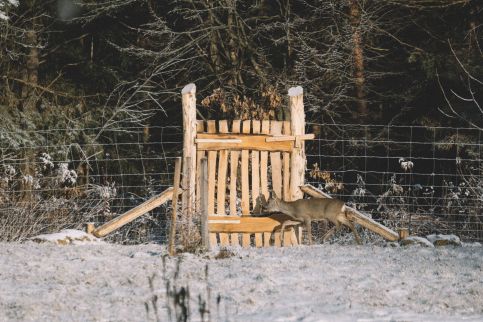Galambszeri Vendégház12