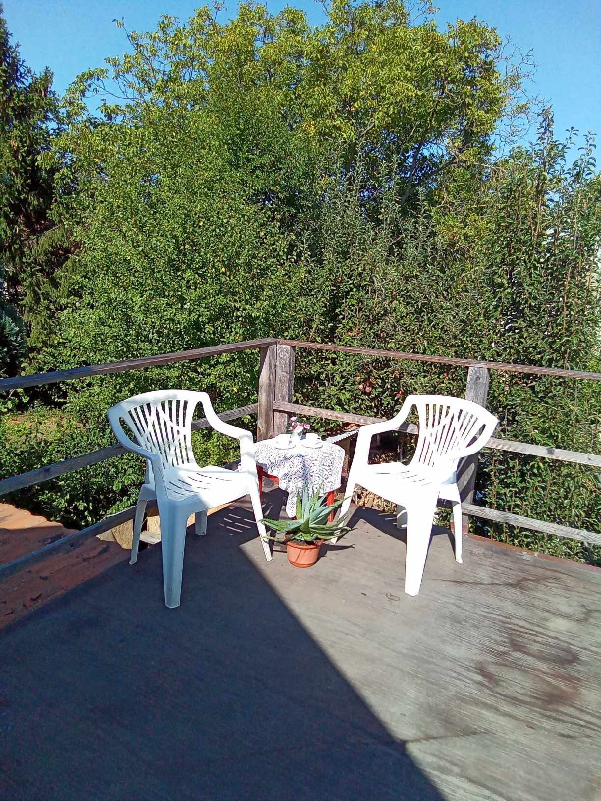 Olga Apartman – Berekfürdő fotó 6