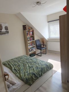 Green Dream Apartman35