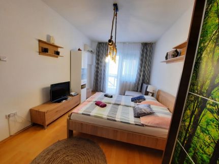 Zöld Béka Apartmanok Kölcsey II.2