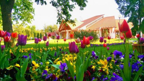 Gárdonyi Apartman – Berekfürdő fotó 6