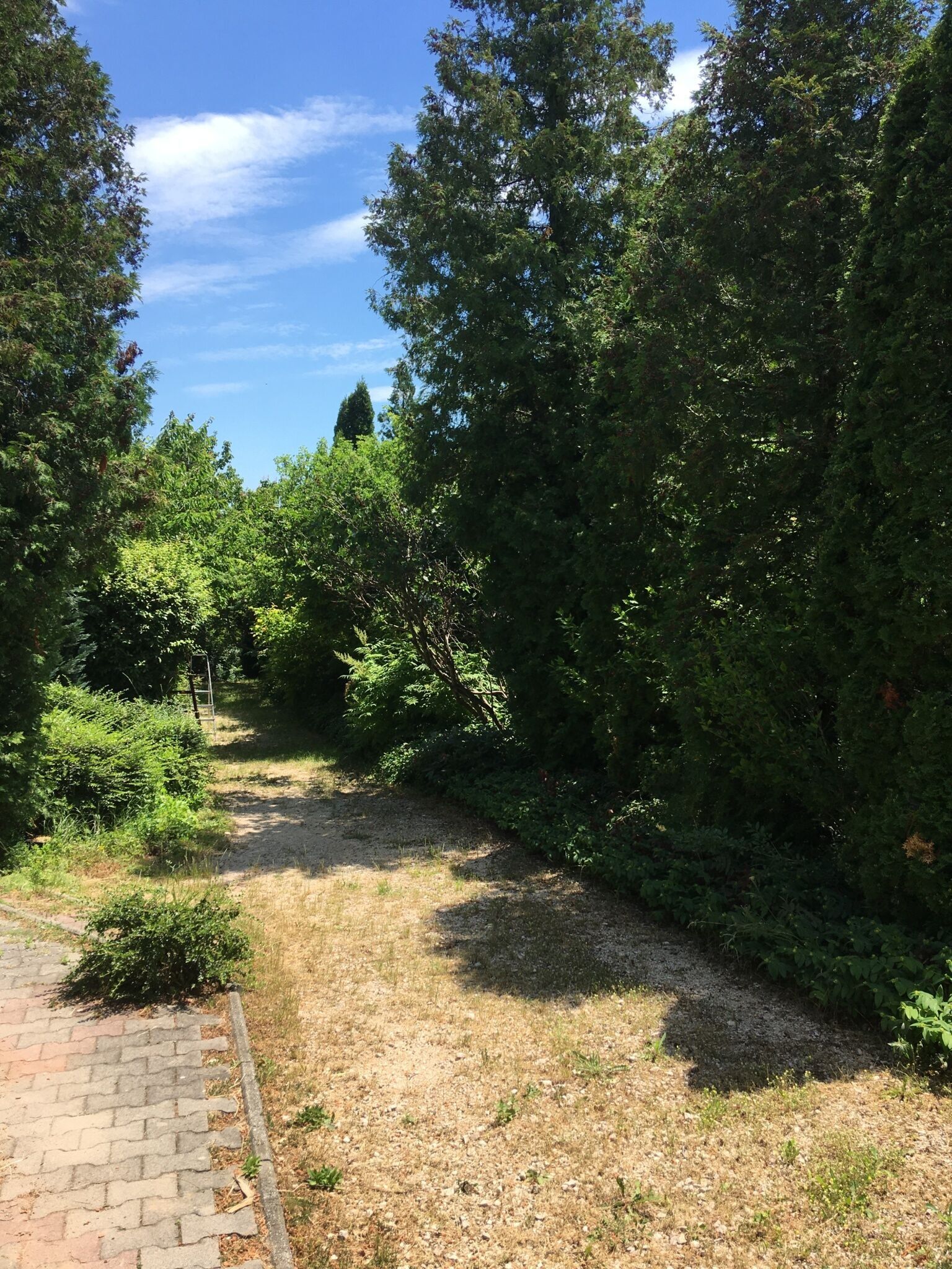 Erkel Apartman – Balatonalmádi fotó 1