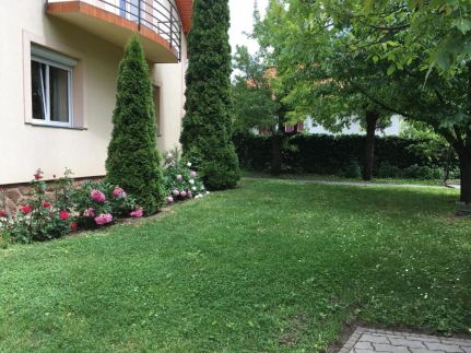 Lavender Apartman