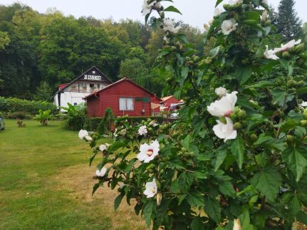 Mecsek Virágai Lak Apartman6