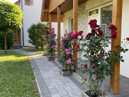 Magyar Apartman III.1