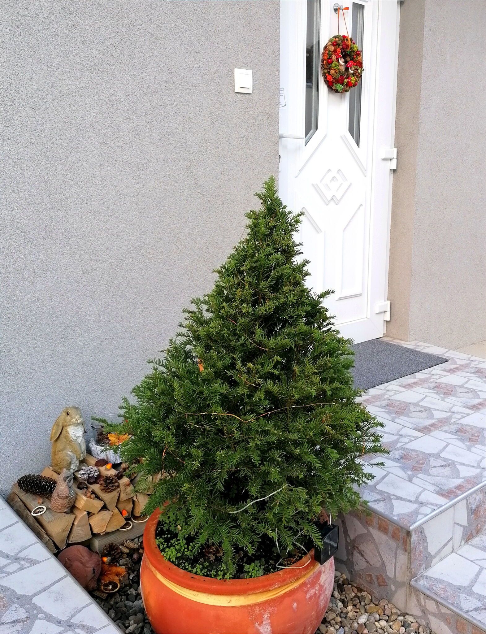 A Vityilló Apartmanok – Gyula fotó 15