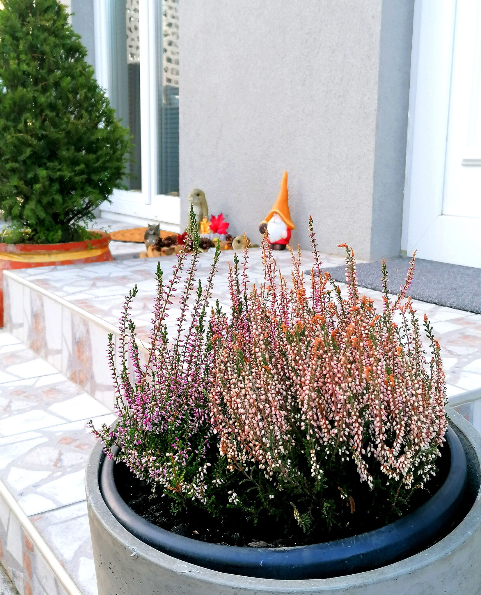 A Vityilló Apartmanok – Gyula fotó 16