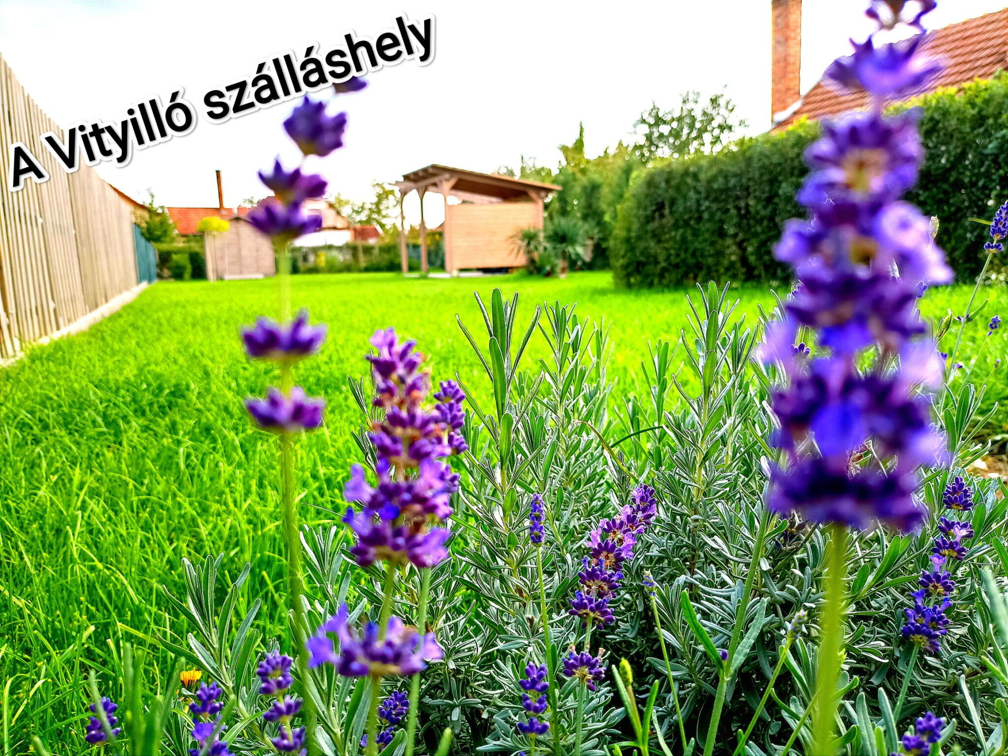 A Vityilló Apartmanok – Gyula fotó 24