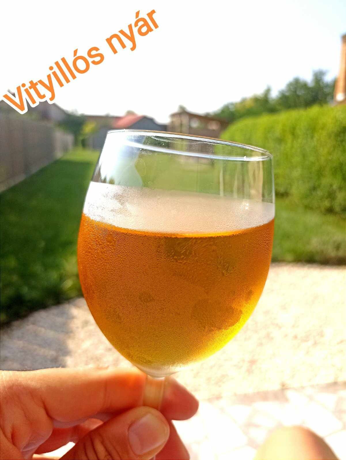 A Vityilló Apartmanok – Gyula fotó 25