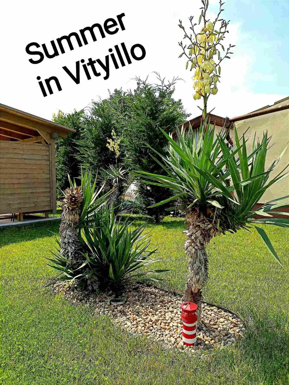 A Vityilló Apartmanok – Gyula fotó 27