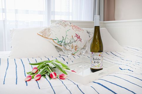 Silver Lodge Apartman9