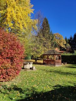 Áfonya Vendégház13