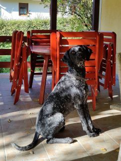 Áfonya Vendégház14