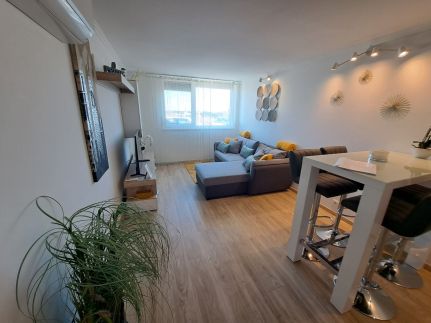 CadetLux Apartman2