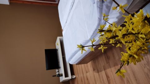 Relax Apartman4
