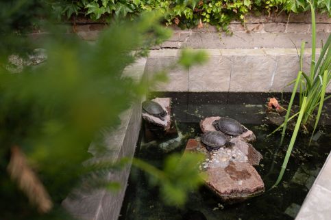 Czigler Vendégház7