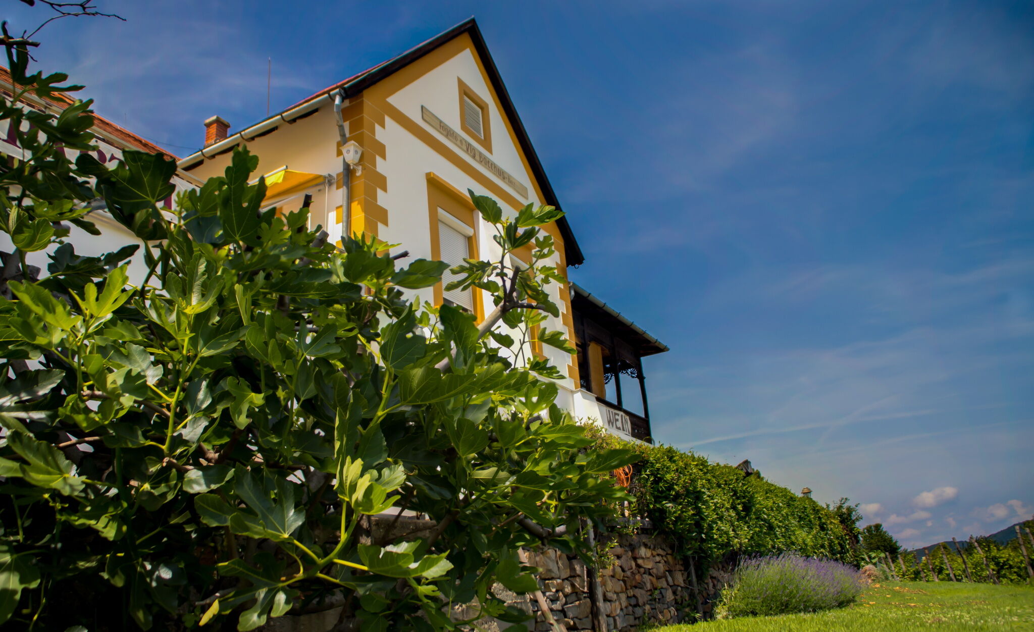 Georgina Panorámás Apartman Bacchus – Badacsony fotó 16