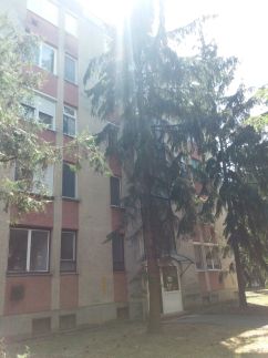 Ládi Erzsébet Andrea Apartman3