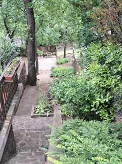 Árnyas Apartman5