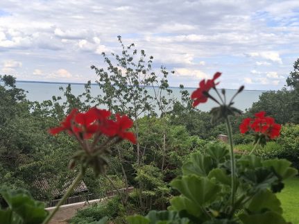 Árnyas Apartman7